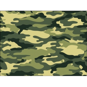 camouflage_background